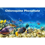 Chloroquine Phosphate