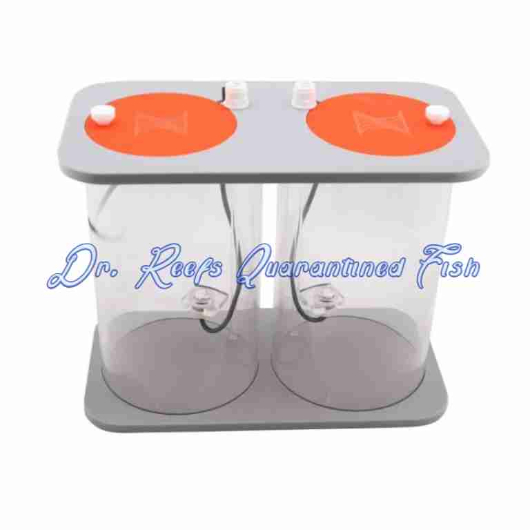 DDR DOS Dual Reservoir | Quarantined Fish