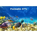 Formalin 37%