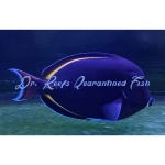 Hybrid Achilles White Cheek Tang