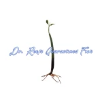 Mangrove Pod