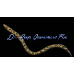 Snowflake Eel