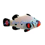 Frostbite Chilled Clownfish