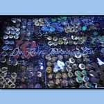 Frag Pack 12 Lot