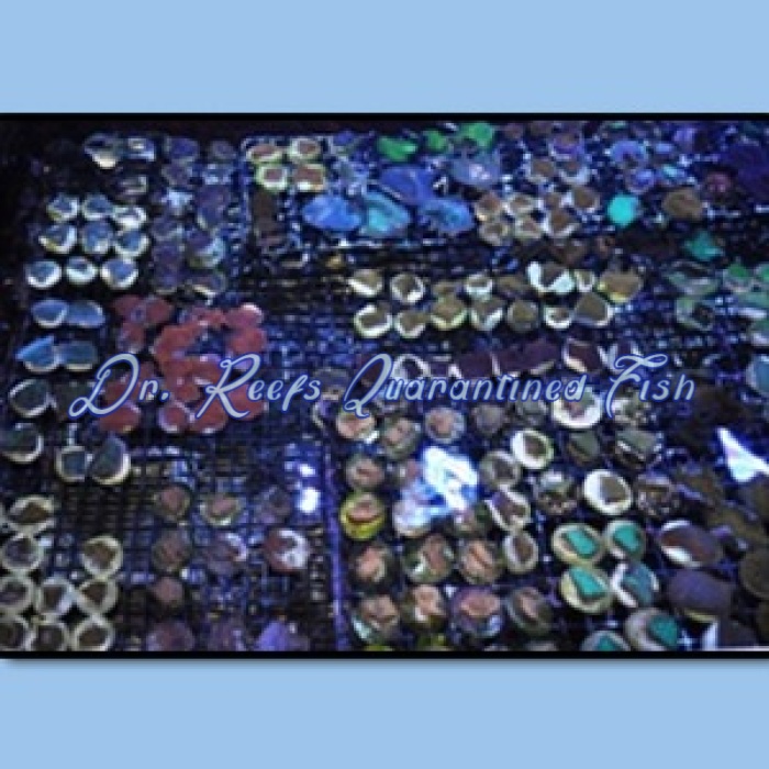 Frag Pack 12 Lot - Image 1