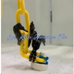 Lined Seahorse (Captive Bred)