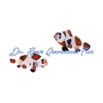 Mocha Storm Bonded Pair