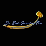 Bluestripe Pipefish (Captive Bred)