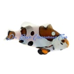 Picasso Storm Clownfish