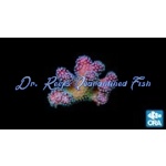 Stylophora - Rainbow