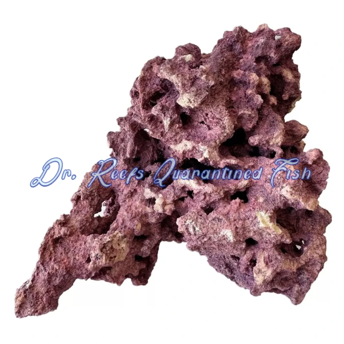 Cycled MarcoRocks Coralline Reef Saver Rock (Free Shipping) - Image 2