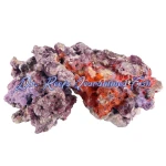 MarcoRocks Maricultured Live Rock (Free Shipping) - Image 2