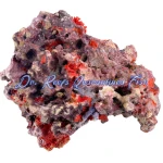 MarcoRocks Maricultured Live Rock (Free Shipping) - Image 3
