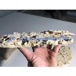 MarcoRocks Premium Shelf Rock- 20 or 40 lb box (Natural)