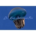 Jellyfish Colored