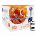 Clownfish & Anemone Aquarium Kit